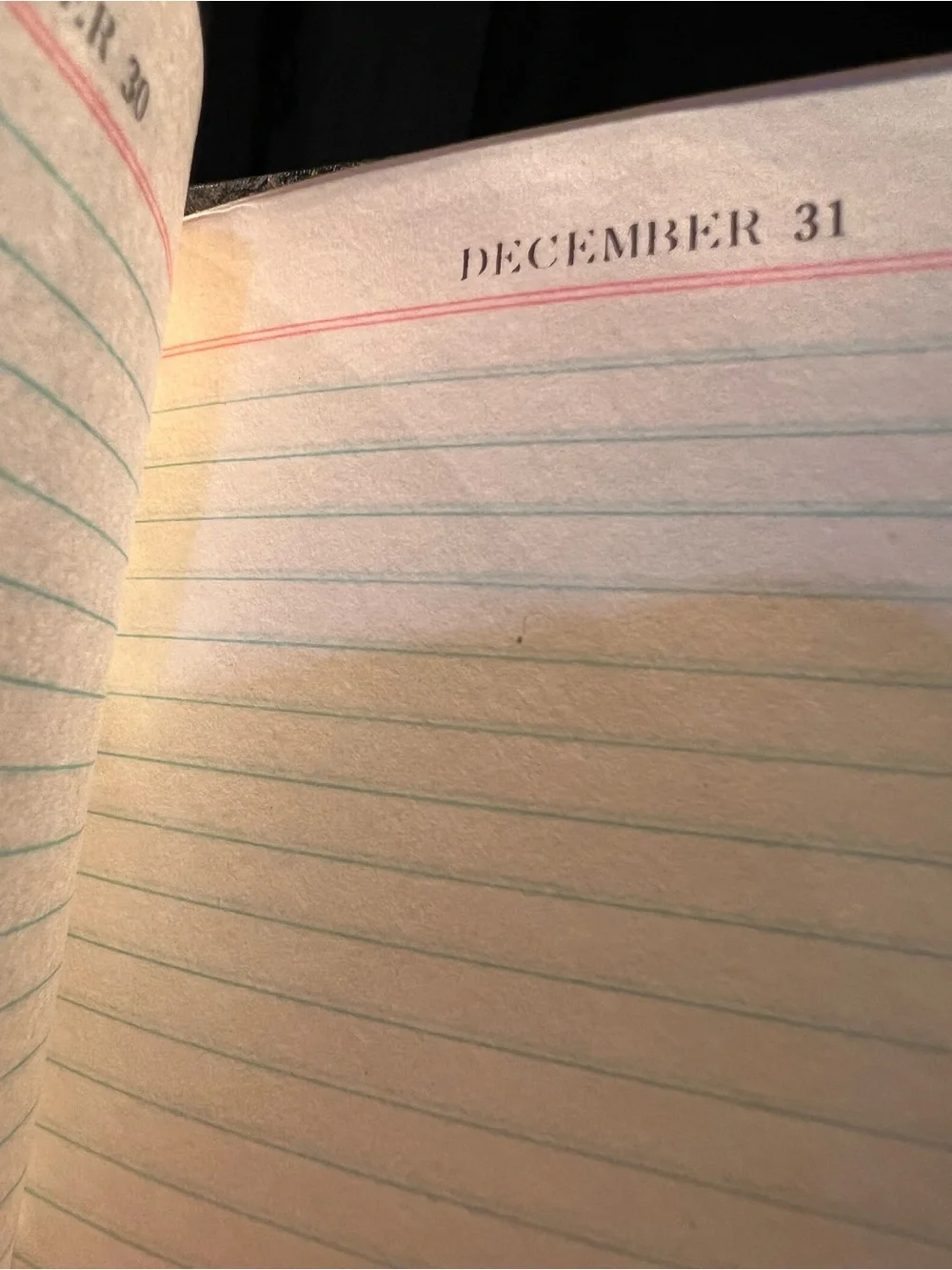 Antique One Year Diary Like new, read below